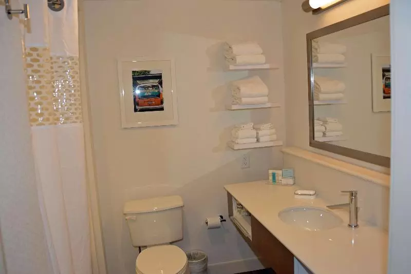 سوئیت با تخت بزرگ, Hampton Inn Albany Western Ave/university Area