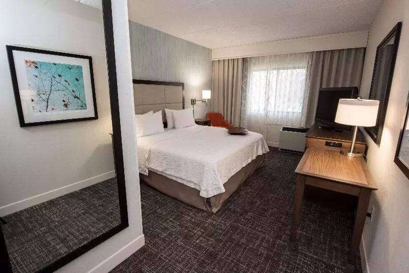 سوئیت با تخت بزرگ, Hampton Inn Albany Western Ave/university Area