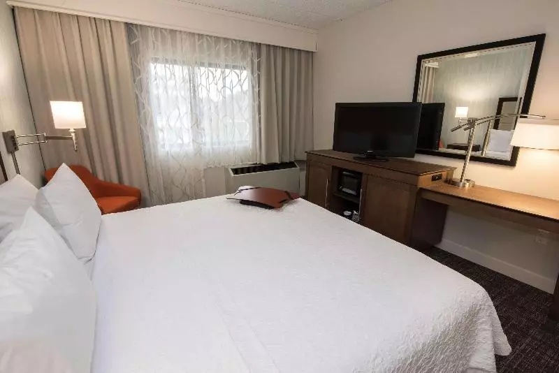 سوئیت با تخت بزرگ, Hampton Inn Albany Western Ave/university Area