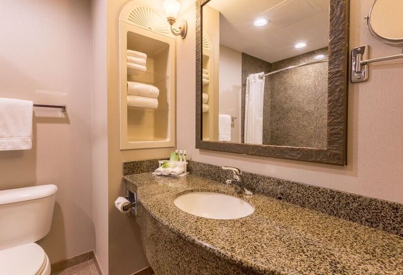 غرفة قياسية, Holiday Inn Express Hotel & Suites Manteca, An Ihg