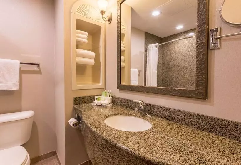 اتاق استاندارد, Holiday Inn Express Hotel & Suites Manteca, An Ihg