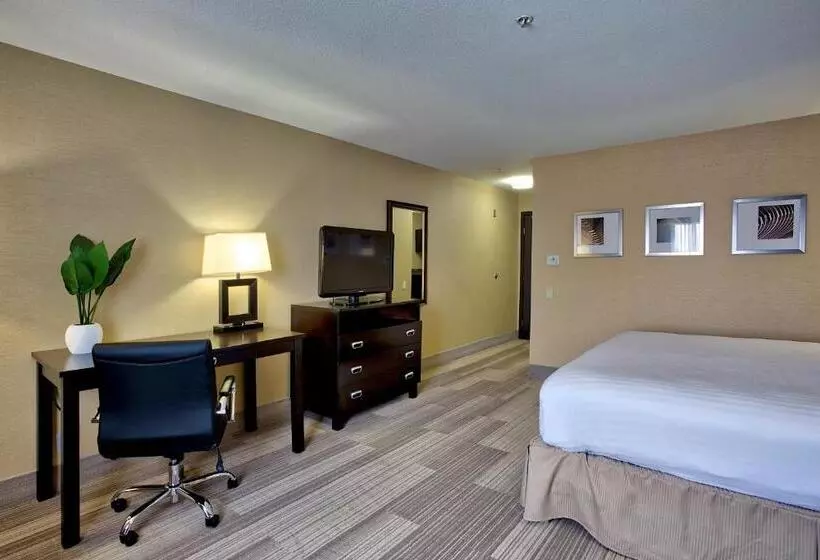 اتاق استاندارد, Holiday Inn Express & Suites Costa Mesa, An Ihg