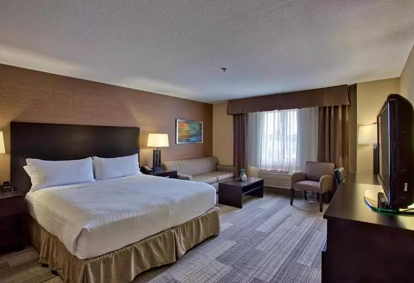 اتاق استاندارد با تخت بزرگ, Holiday Inn Express & Suites Costa Mesa, An Ihg