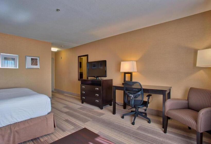 غرفة قياسية سرير كينج, Holiday Inn Express & Suites Costa Mesa, An Ihg