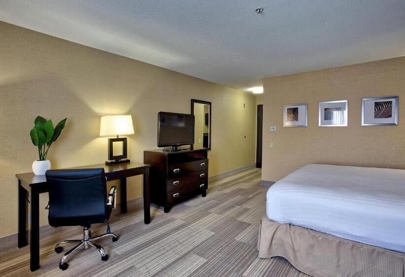 חדר סטנדרט עם מיטת קינג, Holiday Inn Express & Suites Costa Mesa, An Ihg