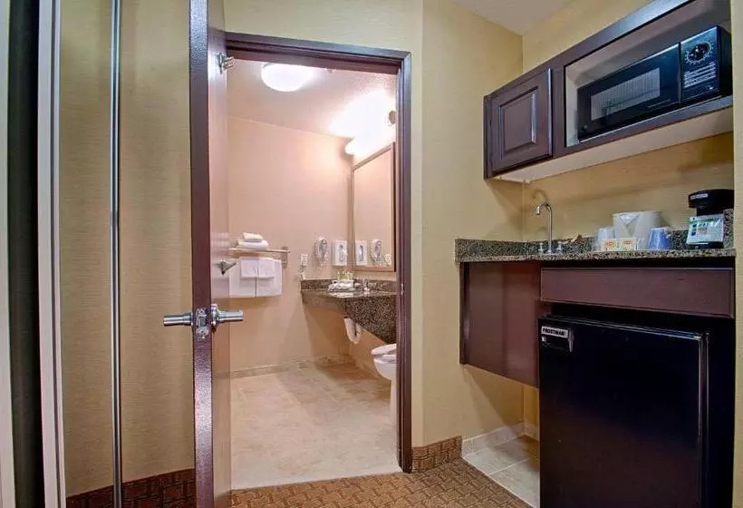اتاق استاندارد با تخت بزرگ, Holiday Inn Express & Suites Costa Mesa, An Ihg