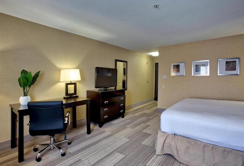 غرفة قياسية سرير كينج, Holiday Inn Express & Suites Costa Mesa, An Ihg