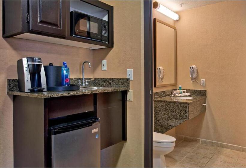 חדר סטנדרט עם מיטת קינג, Holiday Inn Express & Suites Costa Mesa, An Ihg