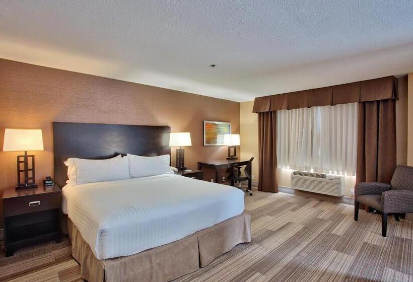 جناح سرير كينج, Holiday Inn Express & Suites Costa Mesa, An Ihg