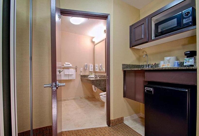 جناح سرير كينج, Holiday Inn Express & Suites Costa Mesa, An Ihg