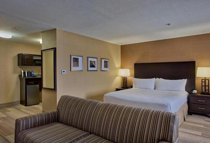 جناح سرير كينج, Holiday Inn Express & Suites Costa Mesa, An Ihg
