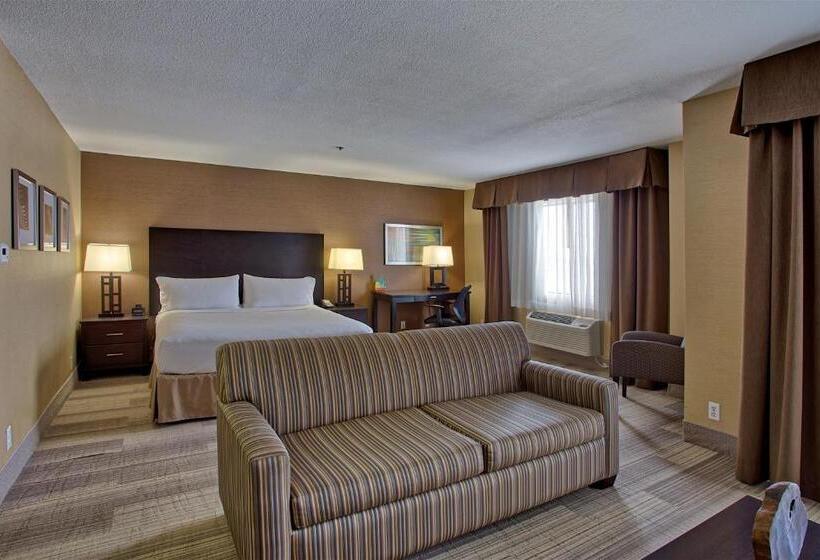 جناح سرير كينج, Holiday Inn Express & Suites Costa Mesa, An Ihg