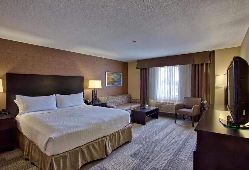 غرفة قياسية سرير كينج لذوى الإحتياجات الخاصة, Holiday Inn Express & Suites Costa Mesa, An Ihg