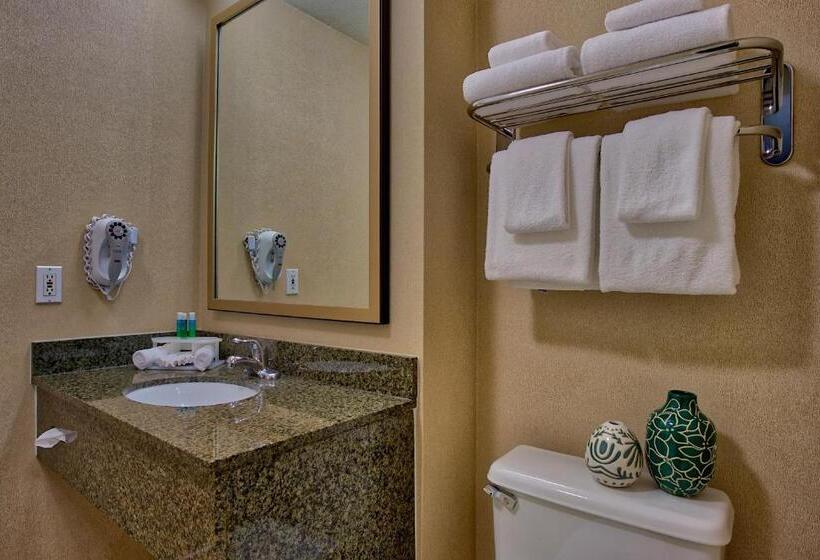 غرفة قياسية سرير كينج لذوى الإحتياجات الخاصة, Holiday Inn Express & Suites Costa Mesa, An Ihg