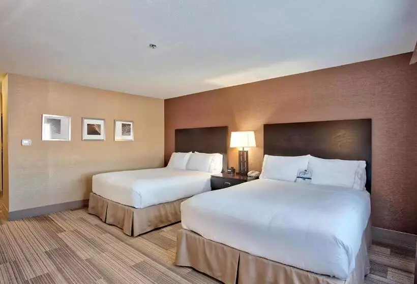 اتاق استاندارد برای معلولان, Holiday Inn Express & Suites Costa Mesa, An Ihg