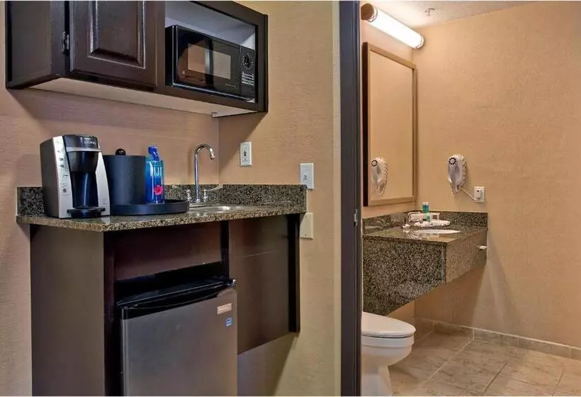 اتاق استاندارد برای معلولان, Holiday Inn Express & Suites Costa Mesa, An Ihg