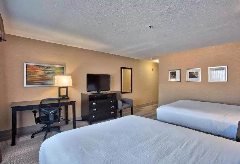اتاق استاندارد برای معلولان, Holiday Inn Express & Suites Costa Mesa, An Ihg