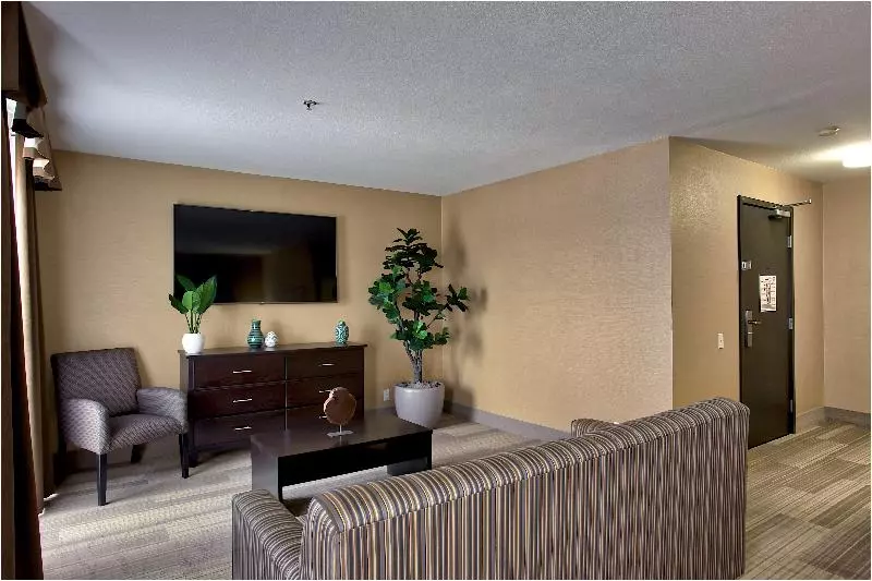 سوئیت با تخت بزرگ, Holiday Inn Express & Suites Costa Mesa, An Ihg