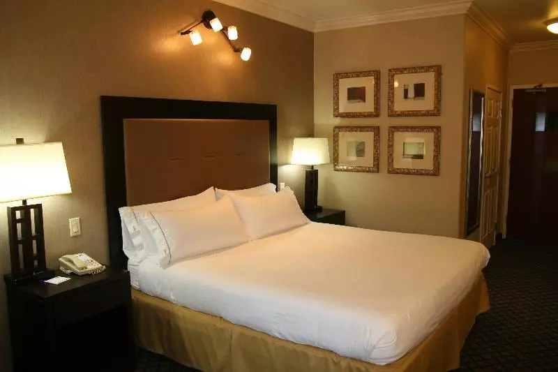 اتاق استاندارد با تخت بزرگ, Holiday Inn Express San Pablo   Richmond Area, An Ihg
