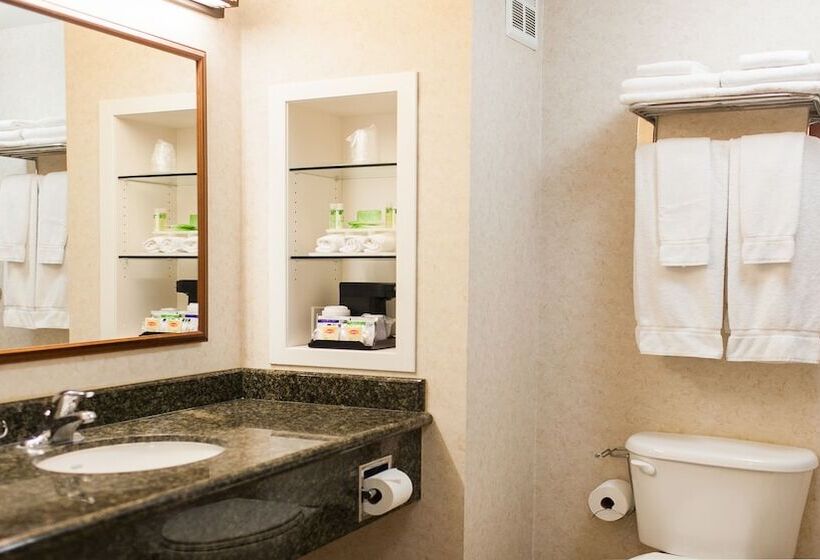 스탠다드 룸, Holiday Inn Express Turlock, An Ihg
