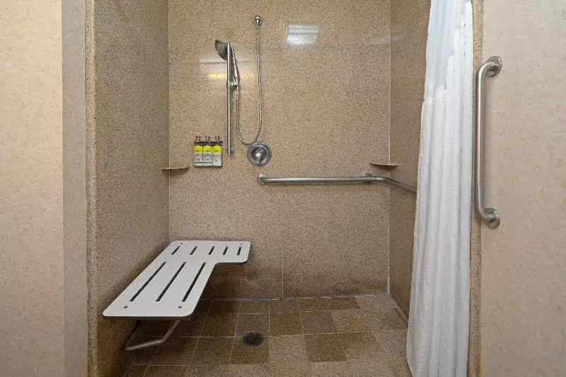 اتاق اجرایی با تخت بزرگ, Holiday Inn Express Turlock, An Ihg