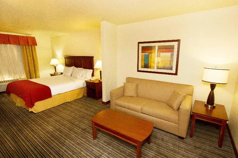 اتاق استاندارد با تخت بزرگ, Holiday Inn Express Turlock, An Ihg