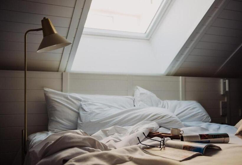 اتاق سوپریور, Molina Lario