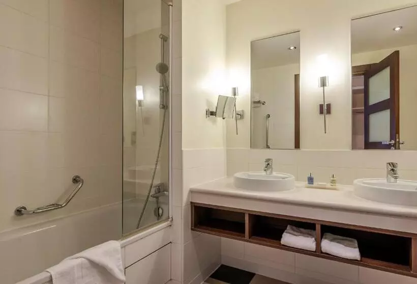 スパアクセス付スタンダードルーム, Radisson Blu Hotel Paris, Marne La Vallée