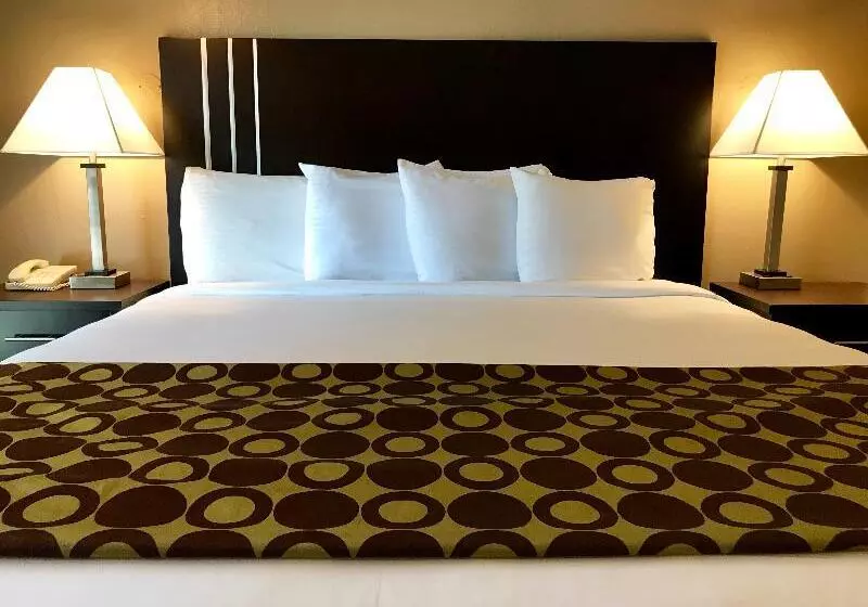 エコノミールーム, Albergo Le Due Corti