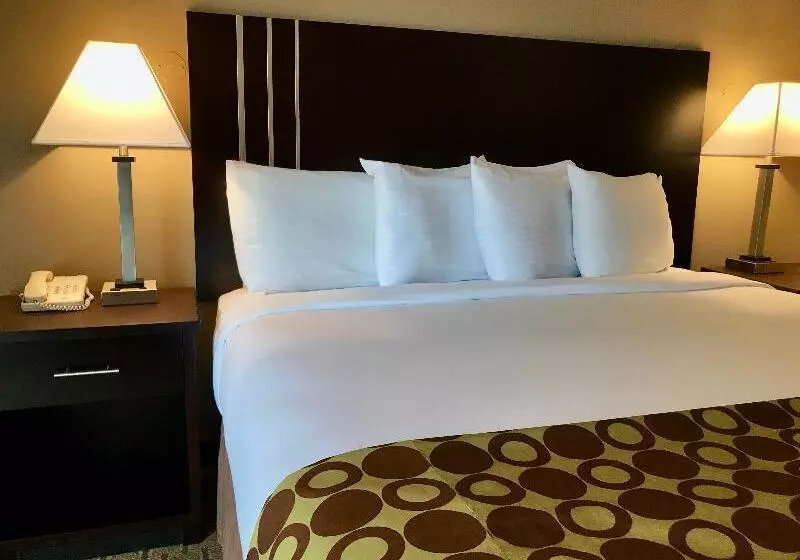 エコノミールーム, Albergo Le Due Corti