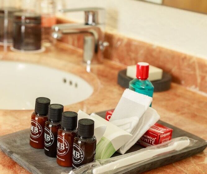 סוויטת ג'וניור, Camino Real Veracruz