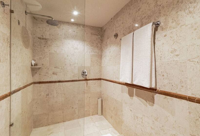 סוויטת ג'וניור, Camino Real Veracruz