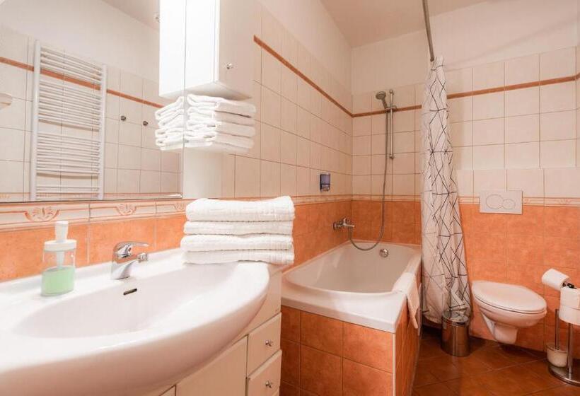 آپارتمان 1 خوابه, Ea Aparthotel Melantrich