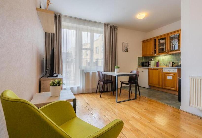 Superior studio with terrace, Ea Aparthotel Melantrich