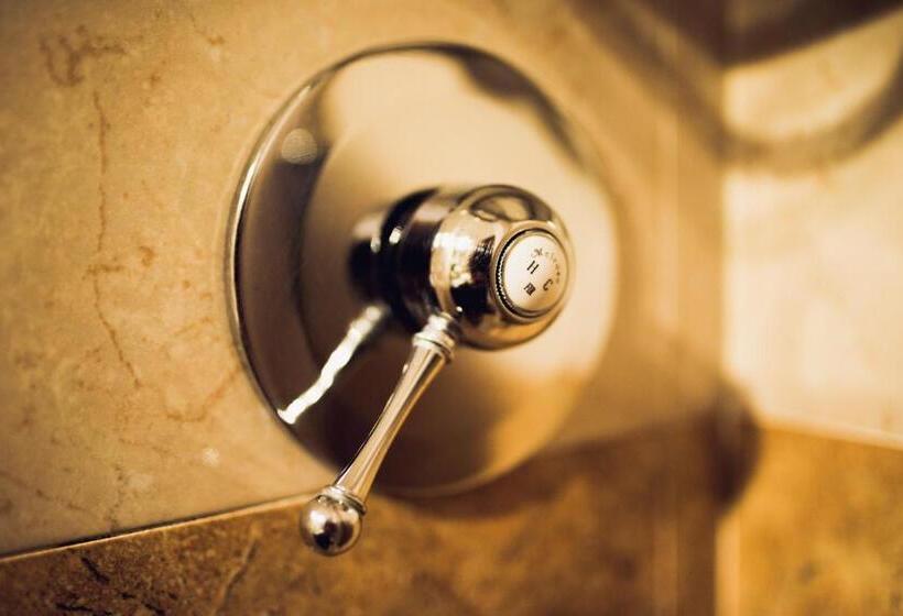 חדר דלוקס, Robinson