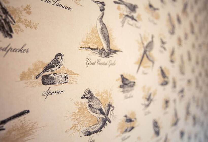 Junior Suite, The Albany St Andrews