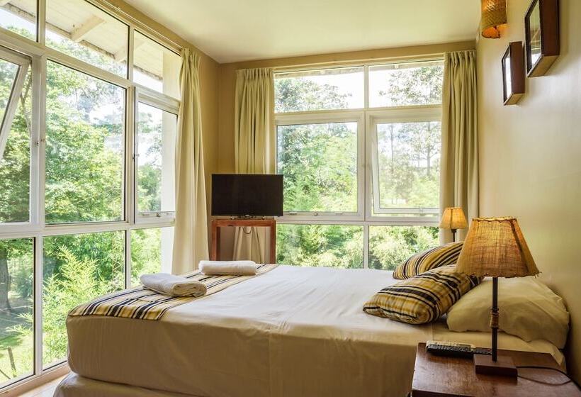 غرفة قياسية, Beer Hotel Iguazú