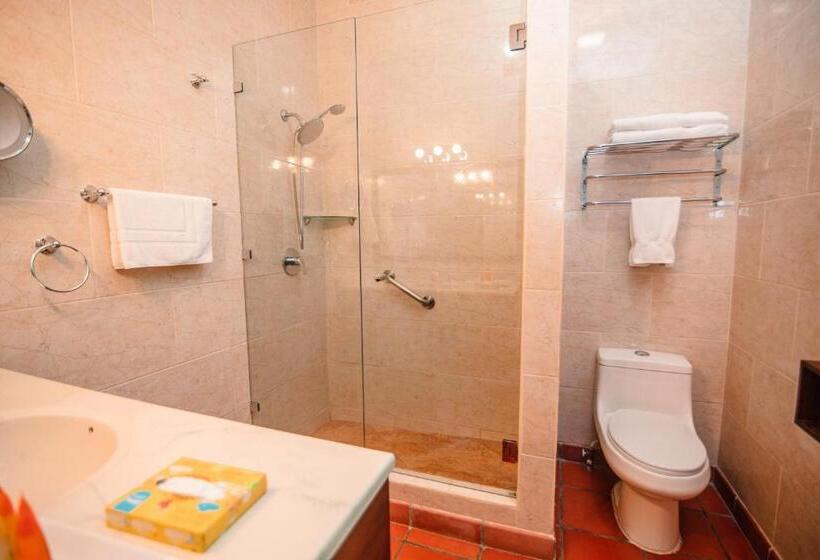 이그제큐티브 싱글룸, El Convento Leon Nicaragua