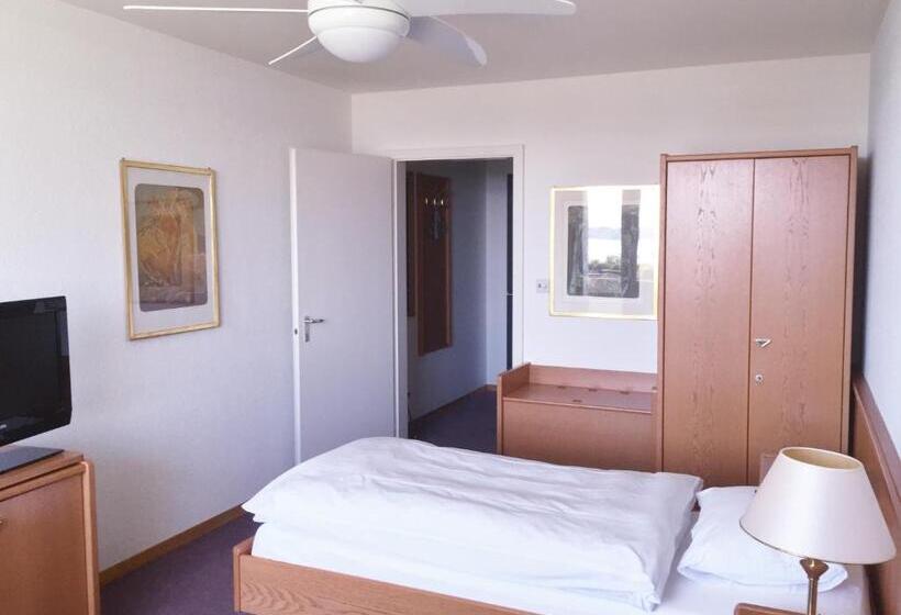 غرفة قياسية فردية, Fontana Garni