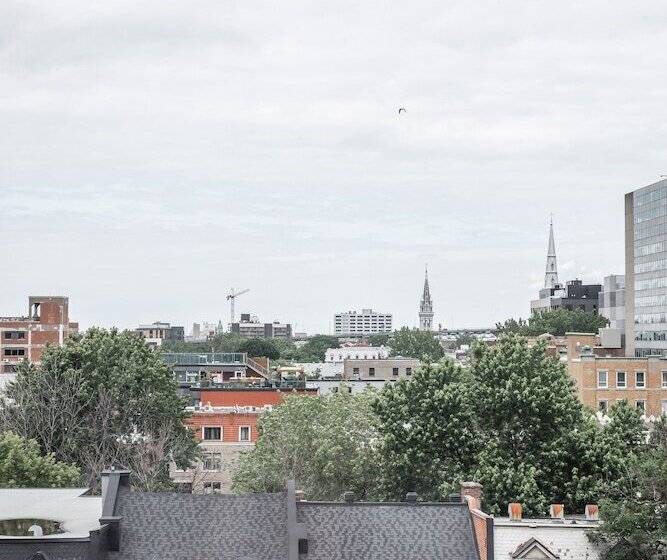 주니어 스위트, Les Suites Labelle