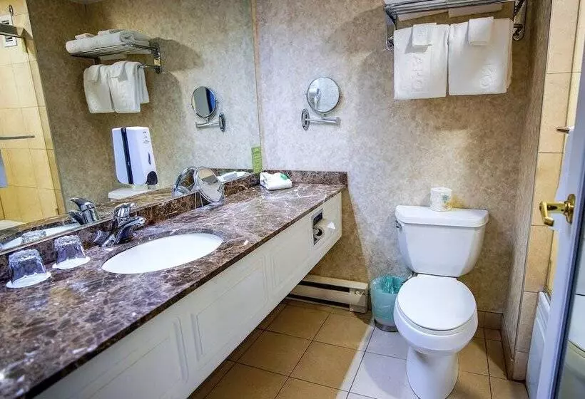 اتاق استاندارد با تخت بزرگ, Palace Royal