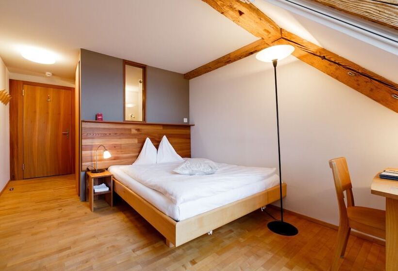 غرفة قياسية فردية, Schloss Wartegg