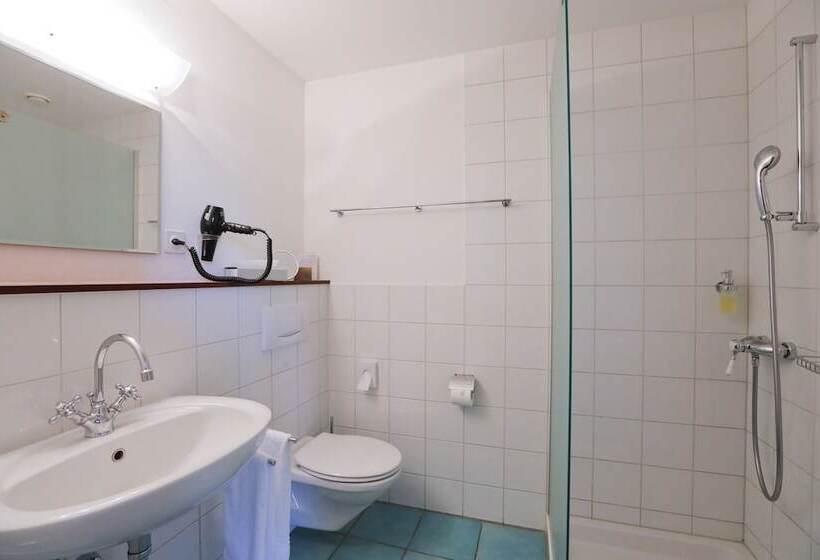 غرفة قياسية مطلّة علي البحيرة, Schloss Wartegg