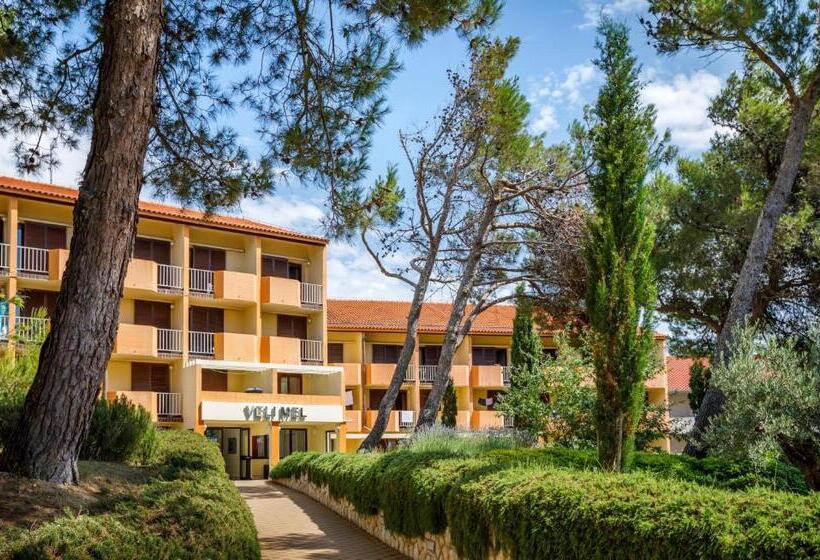 스탠다드 룸, San Marino Resort