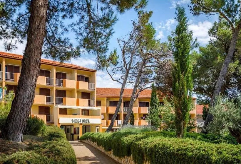 スタンダードルーム, San Marino Resort