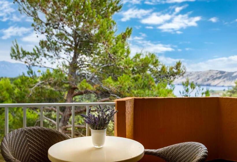 Номер Стандарт, San Marino Resort