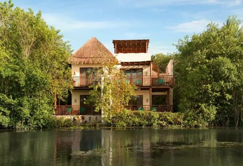 スタンダードルーム, Fairmont Mayakoba
