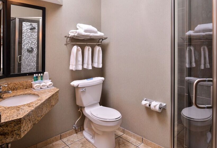 Номер Стандарт, Holiday Inn Express & Suites Topeka West I 70 Wanamaker, An Ihg