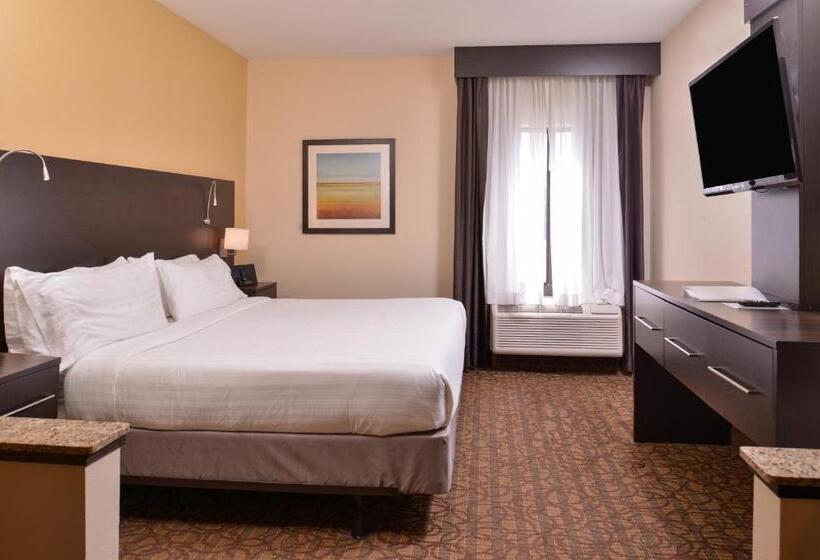 Стандартный Номер Кровать Кинг, Holiday Inn Express & Suites Topeka West I 70 Wanamaker, An Ihg