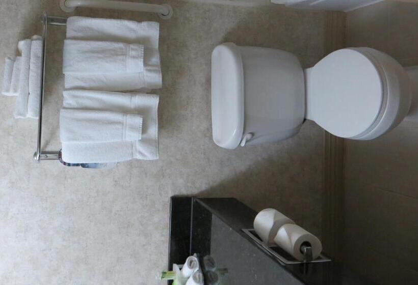 Номер Стандарт Адаптированный для Инвалидов, Holiday Inn Express & Suites Topeka West I 70 Wanamaker, An Ihg